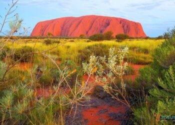 Top Places to Visit in Australia by Road Trip!