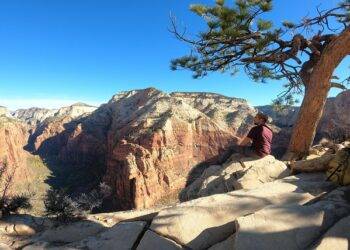 Best Zion Campsites to Take Your Kids To