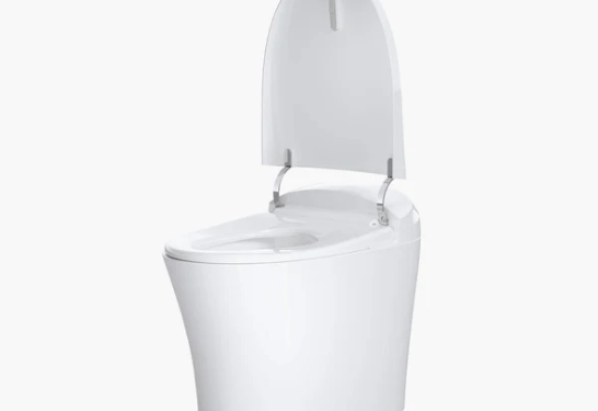 Discover the Best Toilet with Built-In Bidet: The Horow T15