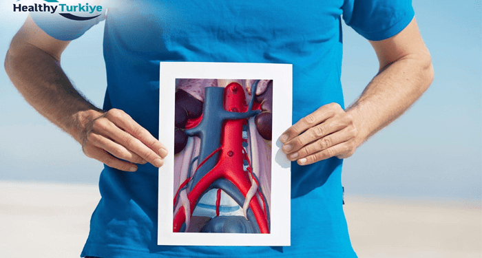 The Role of 3D Imaging in TAVR Procedures at Turkish Medical Centers